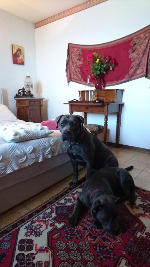 B&B Da Paolo Con Vista Lago Di Garda ซานเซโน ดี มอนตาญญา ภายนอก รูปภาพ